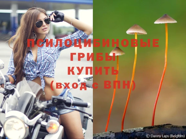 дмт Баксан