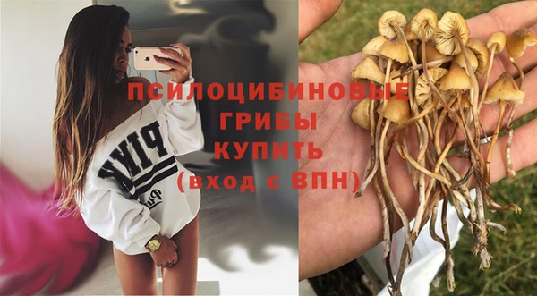 гидропоника Балабаново