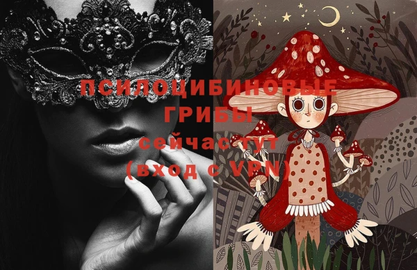 крисы Ветлуга