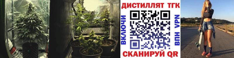 где можно купить наркотик Барыш Дистиллят ТГК вейп с тгк