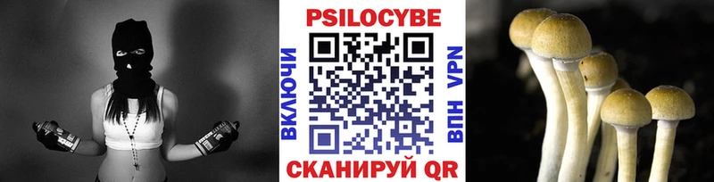 Галлюциногенные грибы Cubensis  купить  сайты  Барыш 
